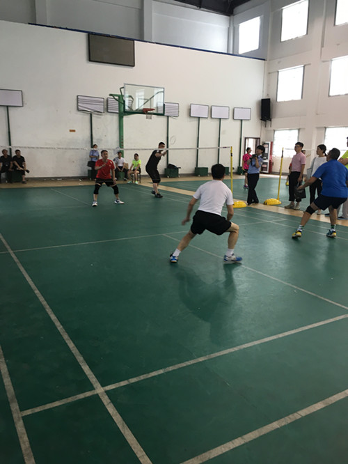 香港资料公开免费大全