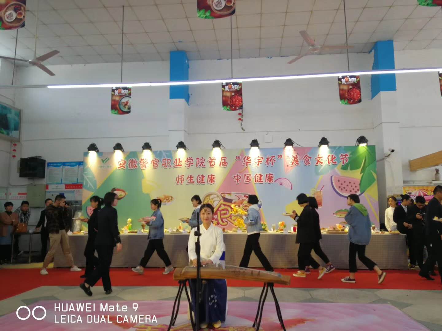 香港资料公开免费大全