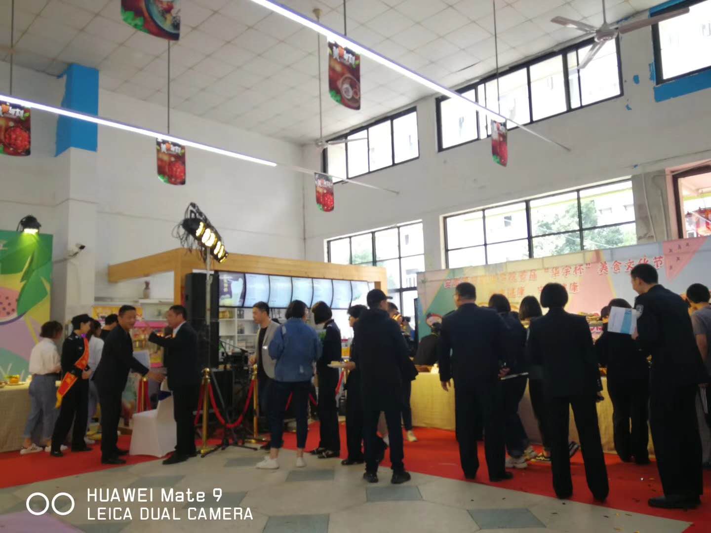 香港资料公开免费大全