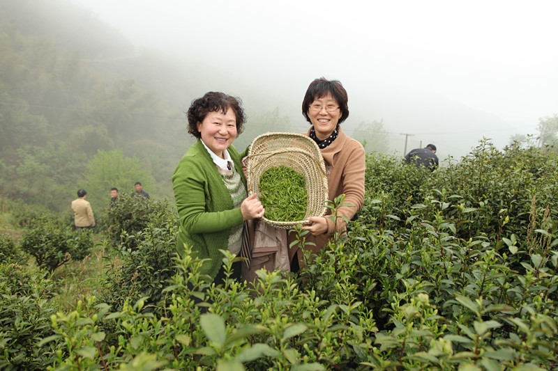 香港资料公开免费大全