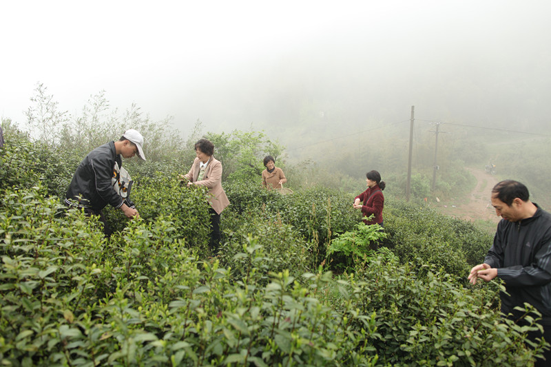 香港资料公开免费大全