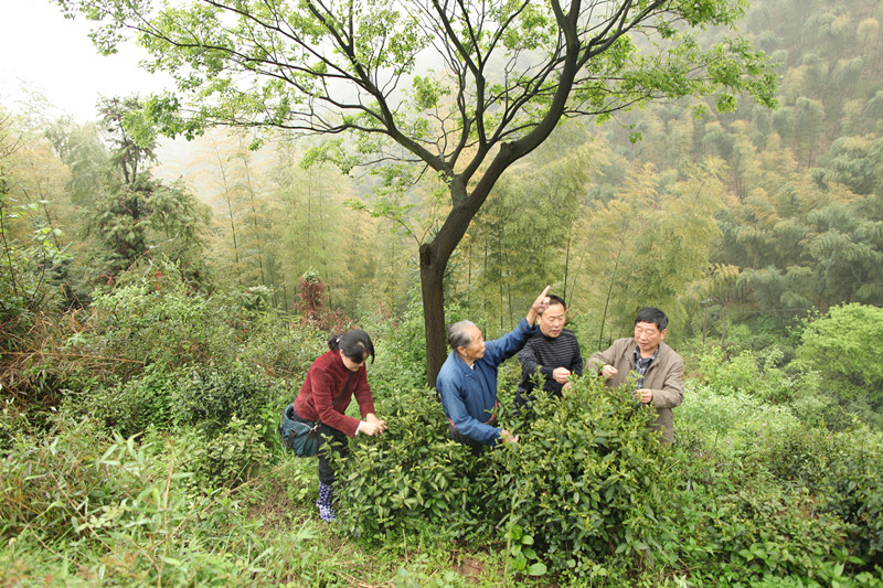 香港资料公开免费大全