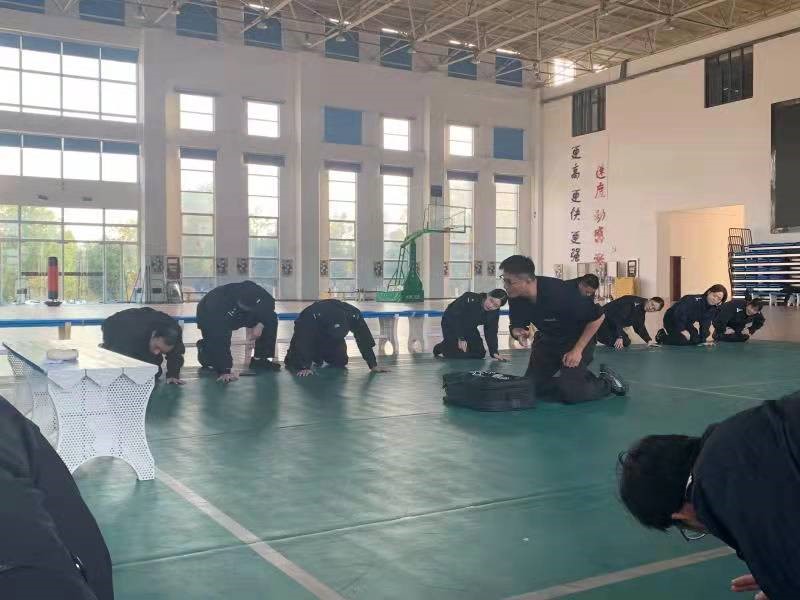 香港资料公开免费大全