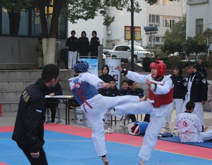 香港资料公开免费大全