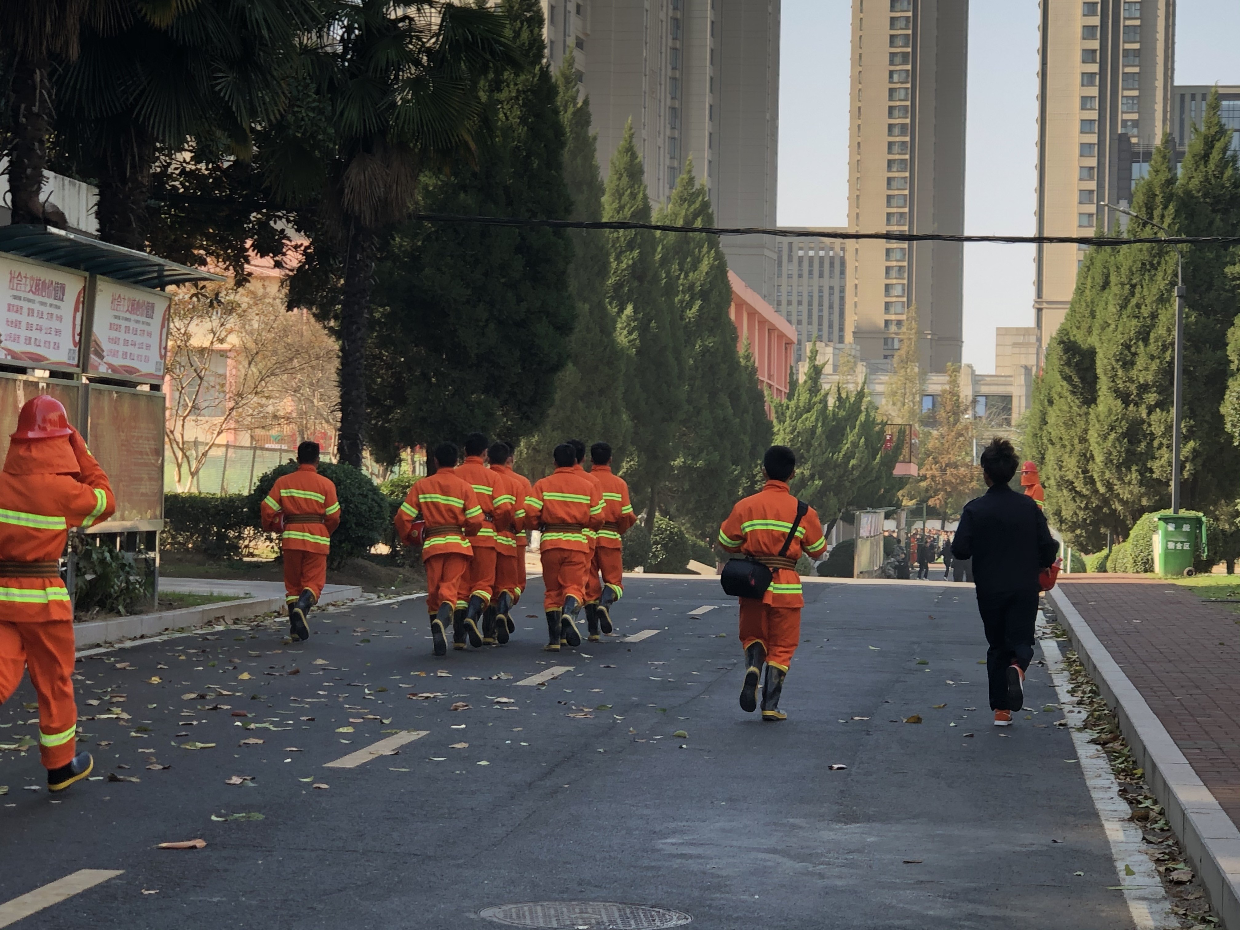 香港资料公开免费大全