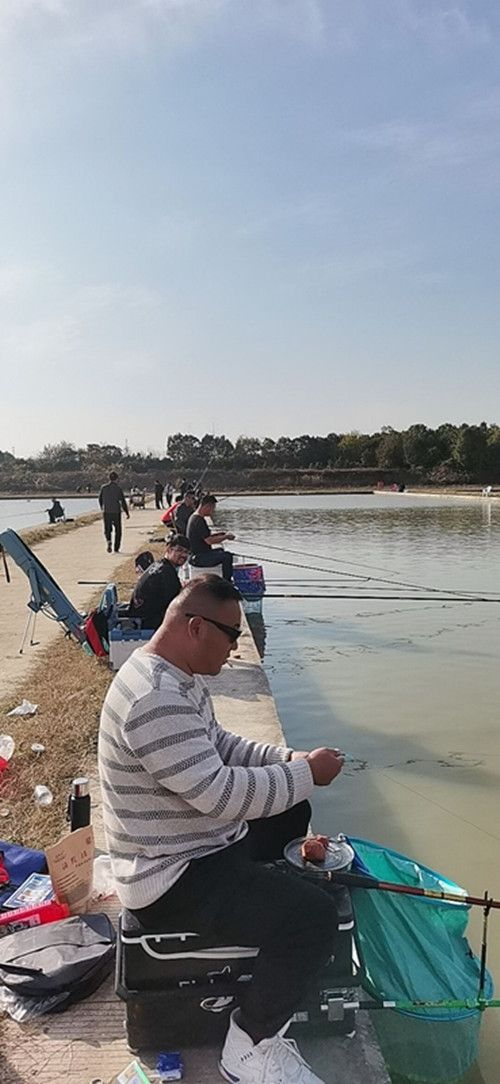 香港资料公开免费大全