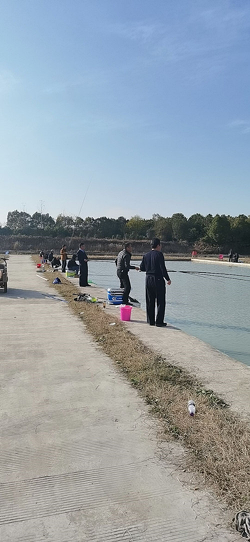 香港资料公开免费大全