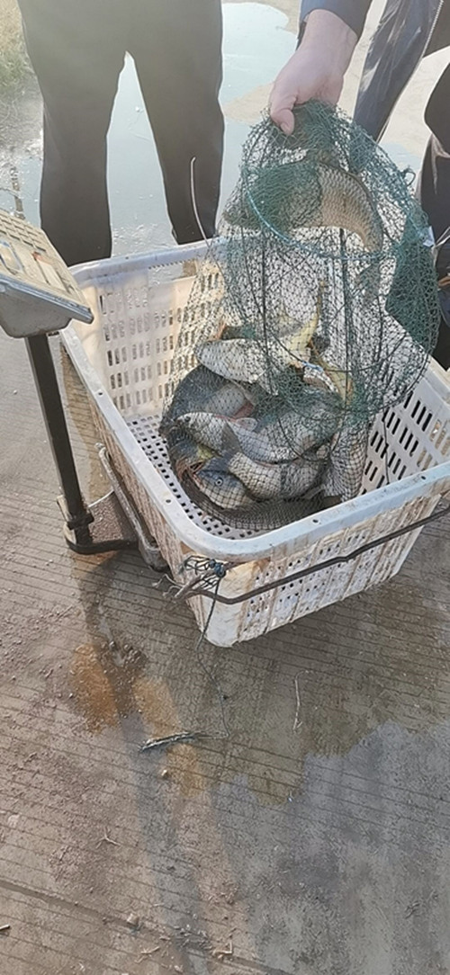 香港资料公开免费大全