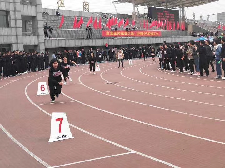 香港资料公开免费大全