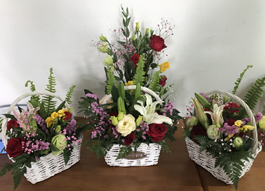 香港资料公开免费大全