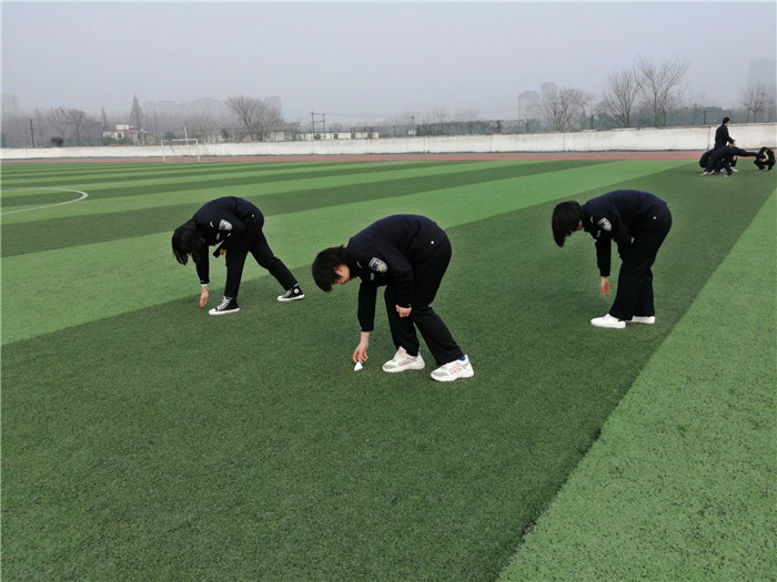 香港资料公开免费大全